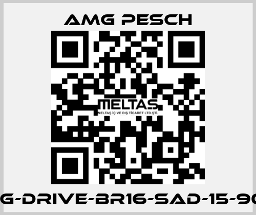 AMG-Drive-BR16-SAD-15-90-01 AMG Pesch