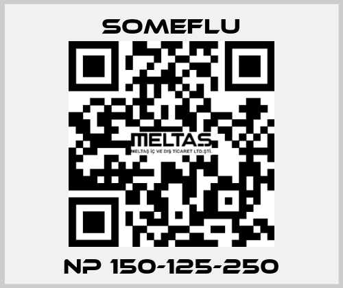 NP 150-125-250 SOMEFLU