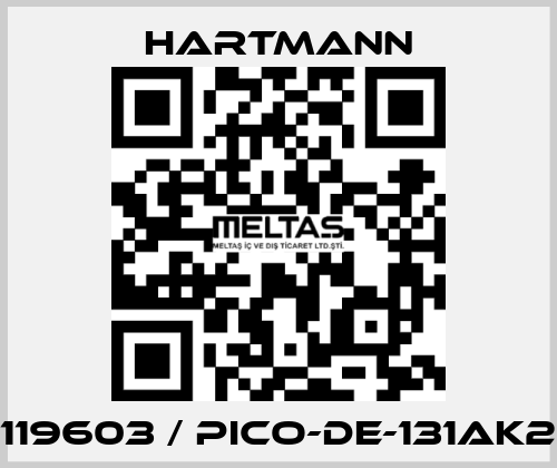 119603 / PICO-DE-131AK2 Hartmann