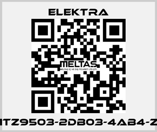 1TZ9503-2DB03-4AB4-Z ELEKTRA