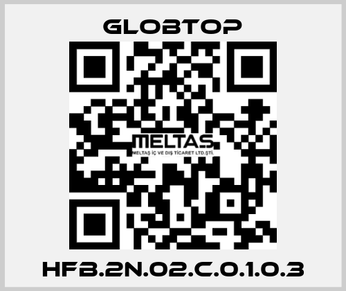 HFB.2N.02.C.0.1.0.3 Globtop