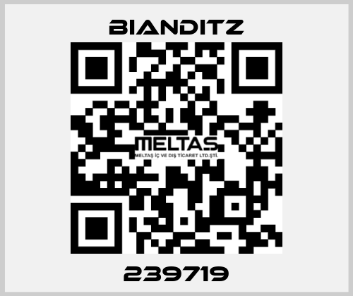 239719 Bianditz