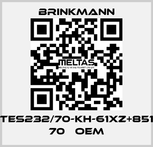 TES232/70-KH-61XZ+851 70   oem Brinkmann