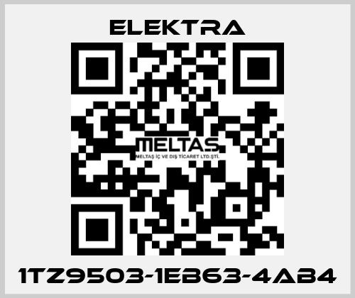 1TZ9503-1EB63-4AB4 ELEKTRA