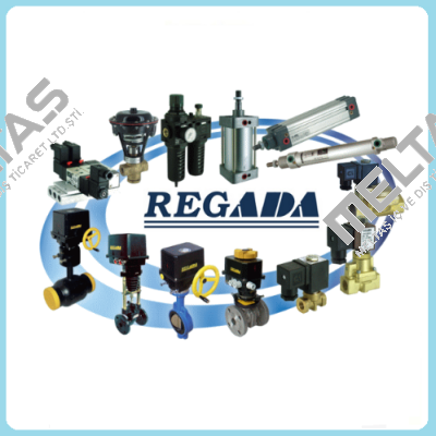 N224124101 Regada