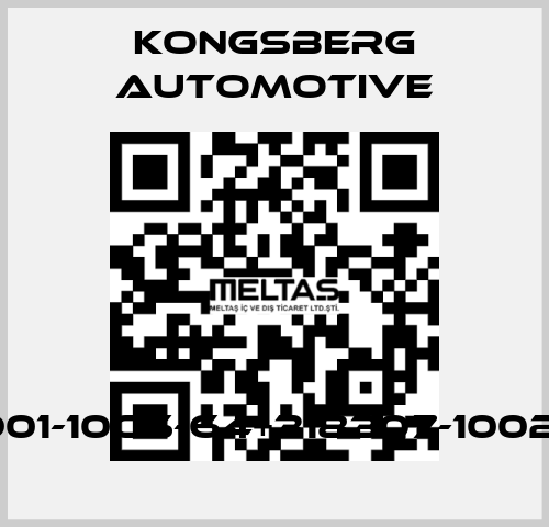 317901-10CS-64+318307-1002CW1 Kongsberg Automotive
