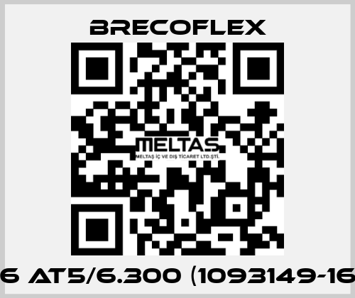 16 AT5/6.300 (1093149-16) Brecoflex