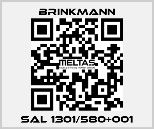 SAL 1301/580+001 Brinkmann