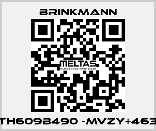 TH609B490 -MVZY+463 Brinkmann