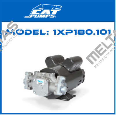 Model: 1XP180.101 Cat Pumps