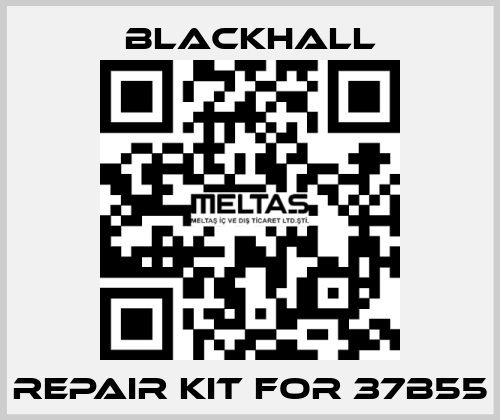 repair kit for 37B55 Blackhall