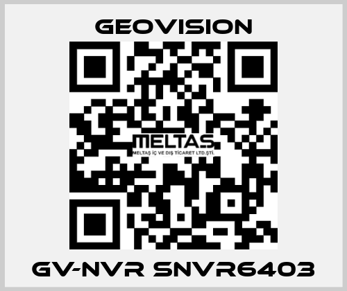 GV-NVR SNVR6403 GeoVision