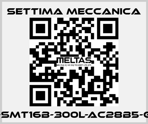 GR55-SMT16B-300L-AC28B5-G-S2-T Settima Meccanica