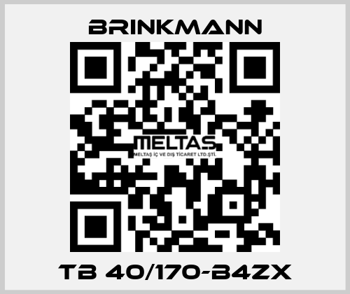 TB 40/170-B4ZX Brinkmann