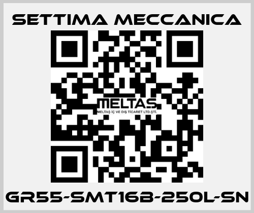 GR55-SMT16B-250L-SN Settima Meccanica