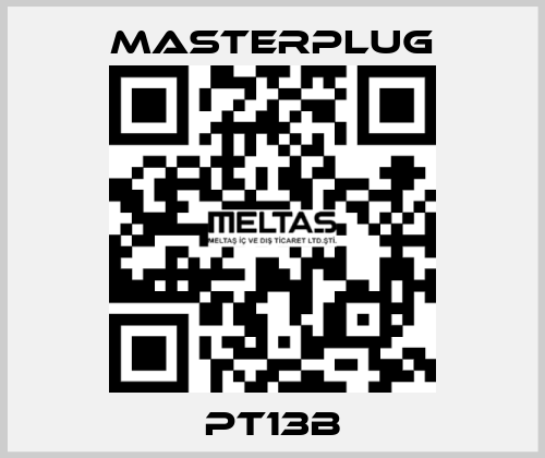 PT13B Masterplug
