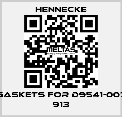 gaskets for D9541-007 913 Hennecke