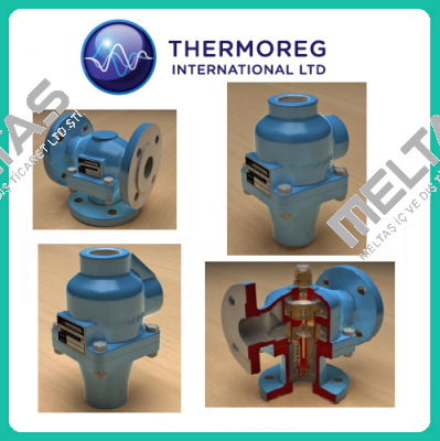 M65TC3G110DA Thermoreg
