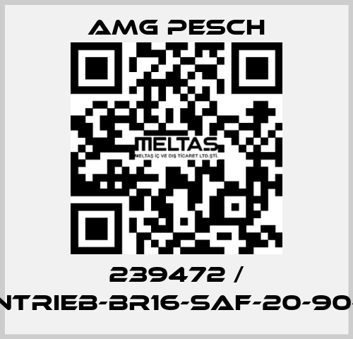 239472 / AMG-Antrieb-BR16-SAF-20-90-01-n=12 AMG Pesch