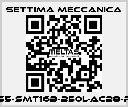 GR55-SMT16B-250L-AC28-RF2 Settima Meccanica