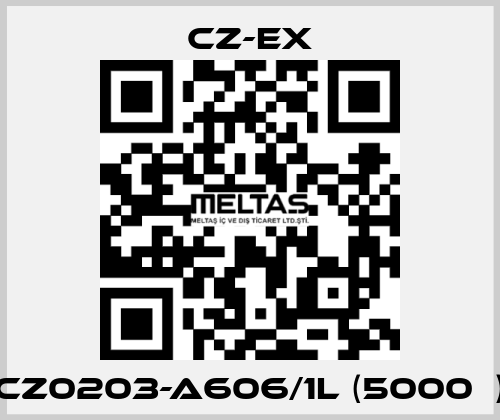 CZ0203-A606/1L (5000Ω) CZ-EX