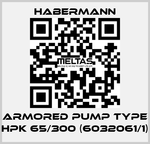 Armored pump type HPK 65/300 (6032061/1) HABERMANN