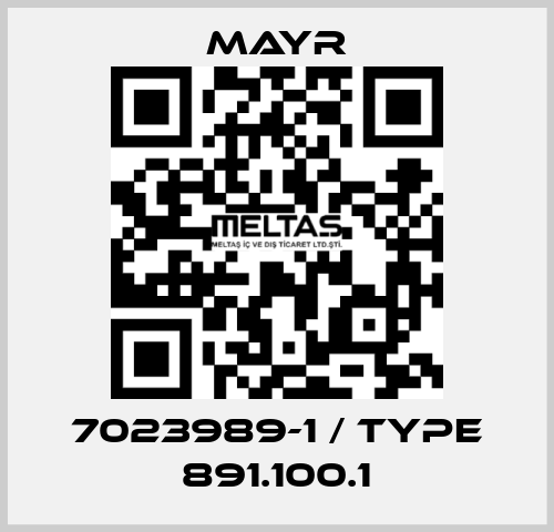 7023989-1 / Type 891.100.1 Mayr