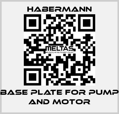 Base plate for pump and motor HABERMANN
