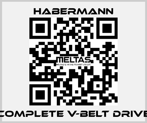 Complete V-belt drive HABERMANN