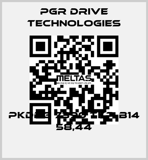 PKDDG 7390 TKP-B14 58,44 PGR Drive Technologies