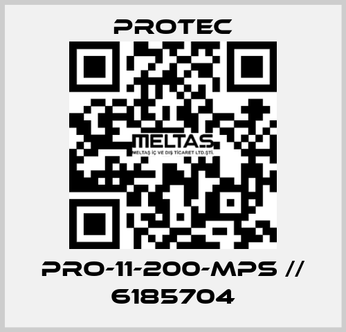 PRO-11-200-MPS // 6185704 Protec