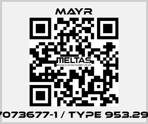 7073677-1 / Type 953.291 Mayr