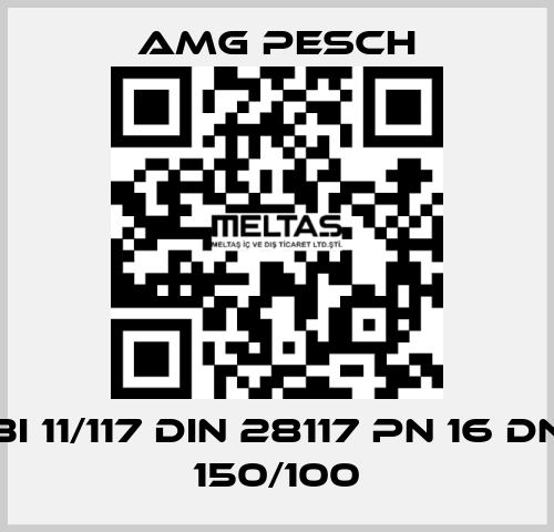 BI 11/117 DIN 28117 PN 16 DN 150/100 AMG Pesch