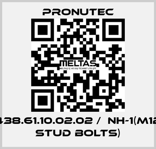 438.61.10.02.02 /  NH-1(M12 stud bolts) PRONUTEC