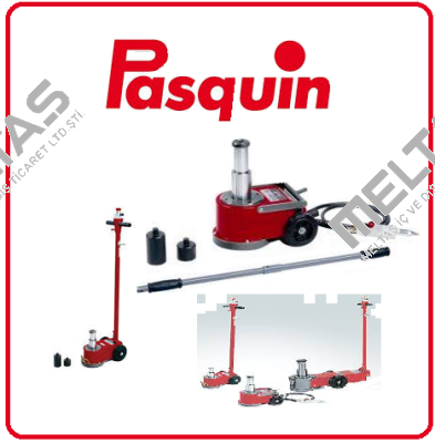 P301 Pasquin