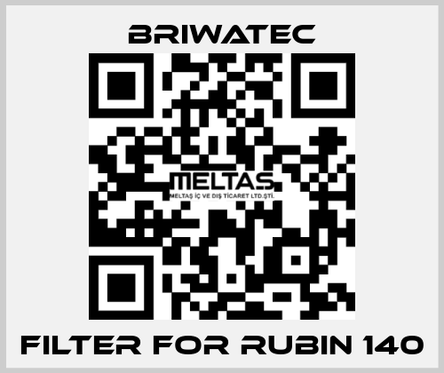 Filter for RUBIN 140 Briwatec