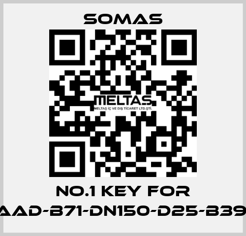 No.1 key for VSS-A5-AAD-B71-DN150-D25-B39-PN10-25 SOMAS