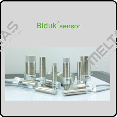 I1CF-M1204P-O3U2 Biduk