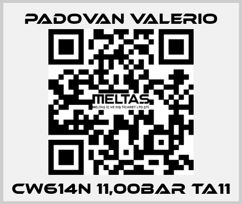 CW614N 11,00BAR TA11 PADOVAN VALERIO