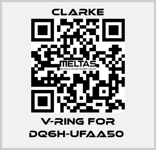 V-Ring for DQ6H-UFAA50  Clarke