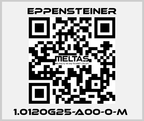 1.0120G25-A00-0-M  Eppensteiner