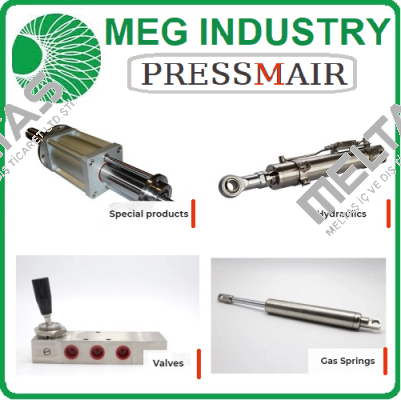LP/01354  Meg Industry (Pressmair)