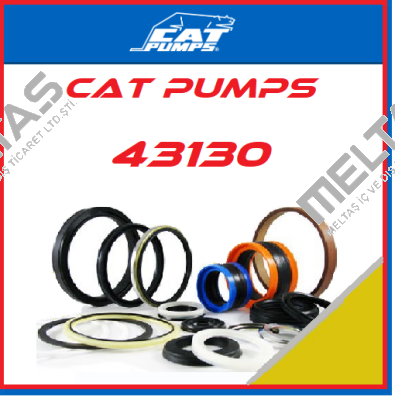 43130 Cat Pumps