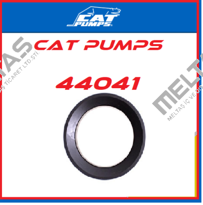 44041 Cat Pumps