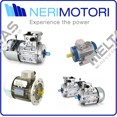 0.18/0.06KW 2 SPEED 'C' FLANGE MOUNTED MOTOR Neri Motori