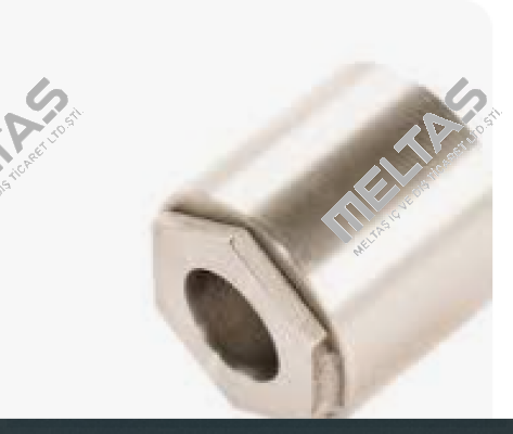 117.955 Leister