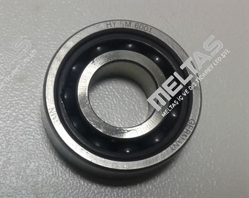 19HYSM6001CTAUP+DUL Gmn