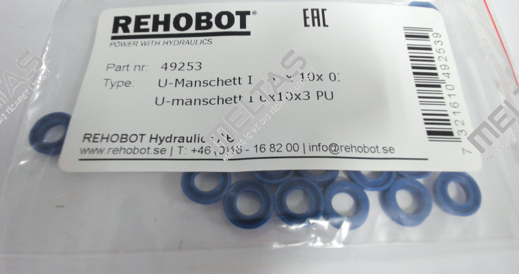49253 Rehobot