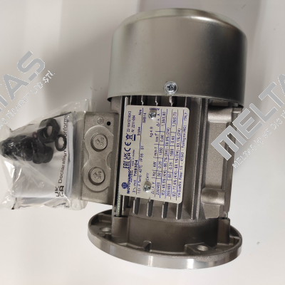 Nr. 4190537 Type TH63D4 Motovario