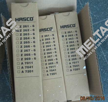 Z262 Hasco
